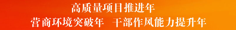 高质量项目推进年